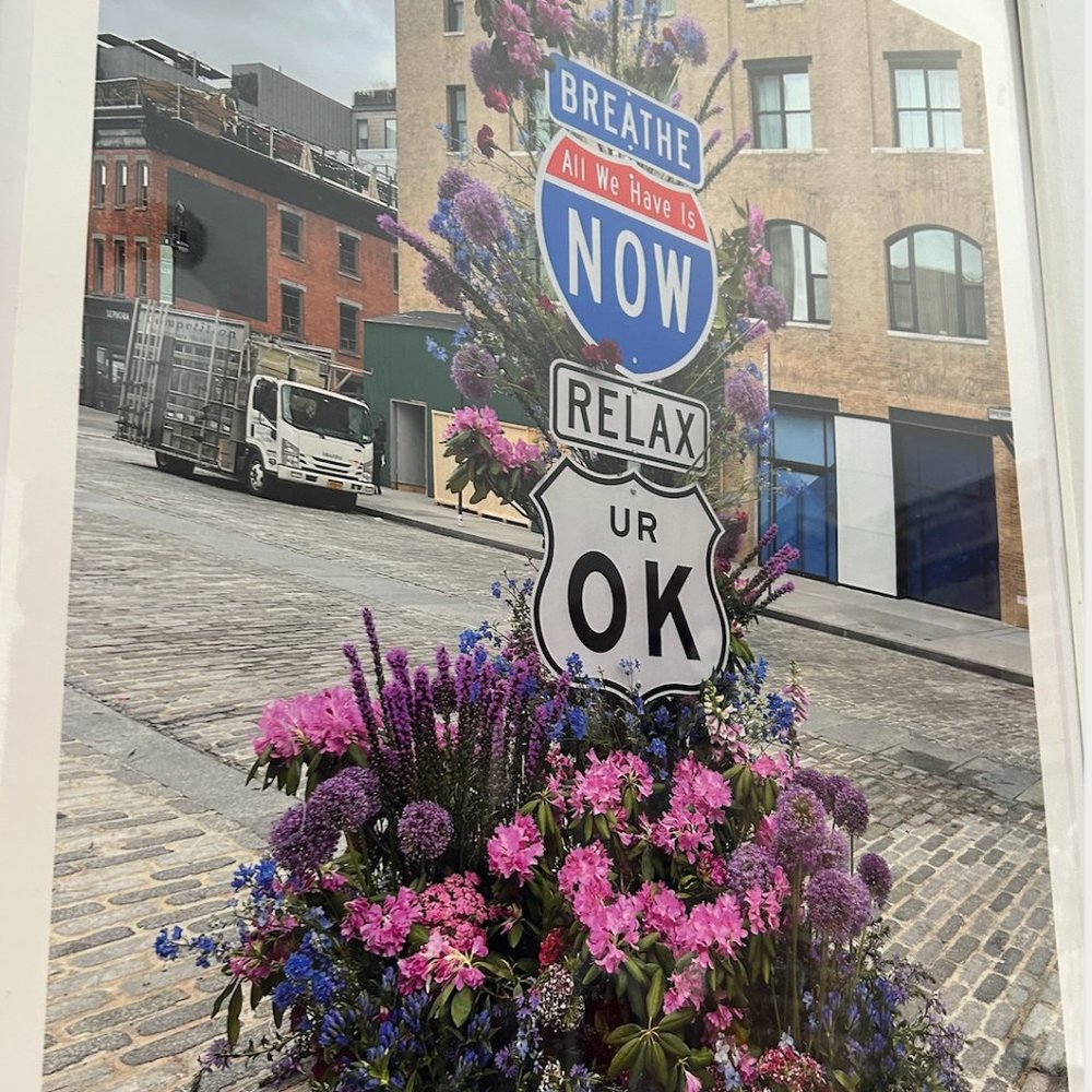🚨LAST CALL.🚨Flower Flash Print SIGNED Lewis Miller exclusive print [22.5" x 17"]